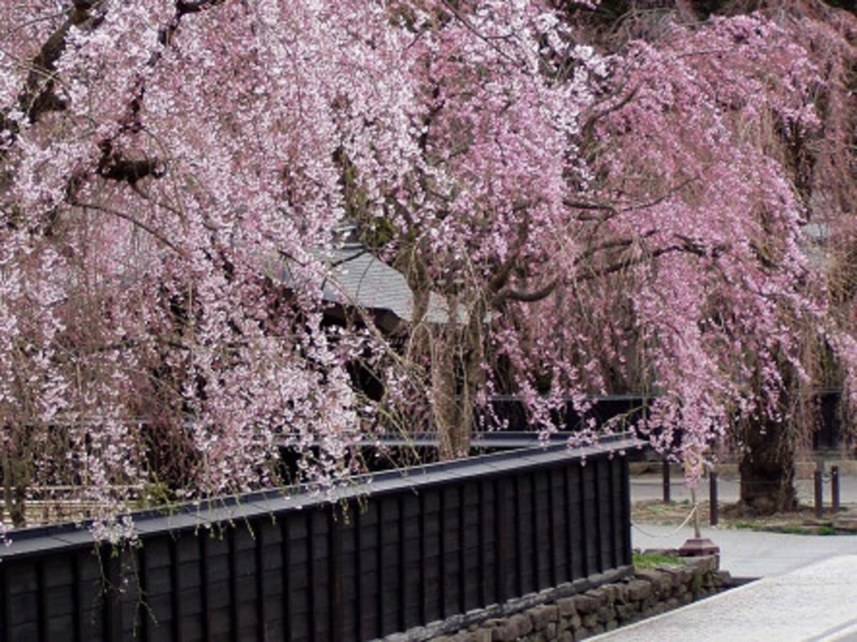 Daisen  Tamachi Bukeyashiki Hotel - Vacation Stay 20163V מראה חיצוני תמונה