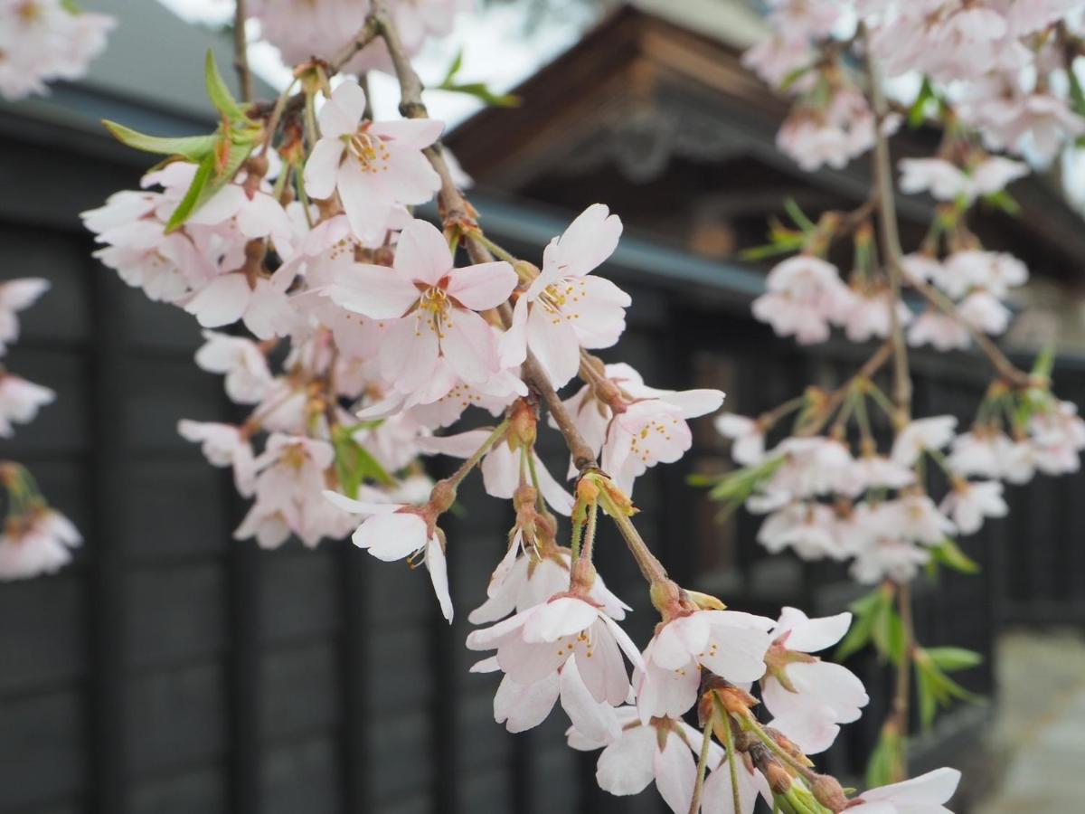 Daisen  Tamachi Bukeyashiki Hotel - Vacation Stay 20163V מראה חיצוני תמונה
